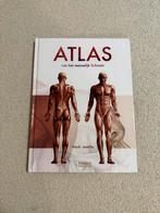 Atlas van het menselijk lichaam, Boeken, Gelezen, Vigué martín, Overige typen, Ophalen of Verzenden