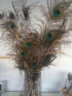 Pauwveren ong.20st. In vaas., Huis en Inrichting, Woonaccessoires | Droogbloemen, Ophalen, Gebruikt