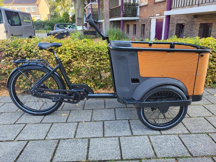 NIEUW!! CANGOO BUCKLE UP E-BAKFIETS, Fietsen en Brommers, Fietsen | Bakfietsen, Nieuw, Overige merken, 4 kinderen of meer, Elektrisch