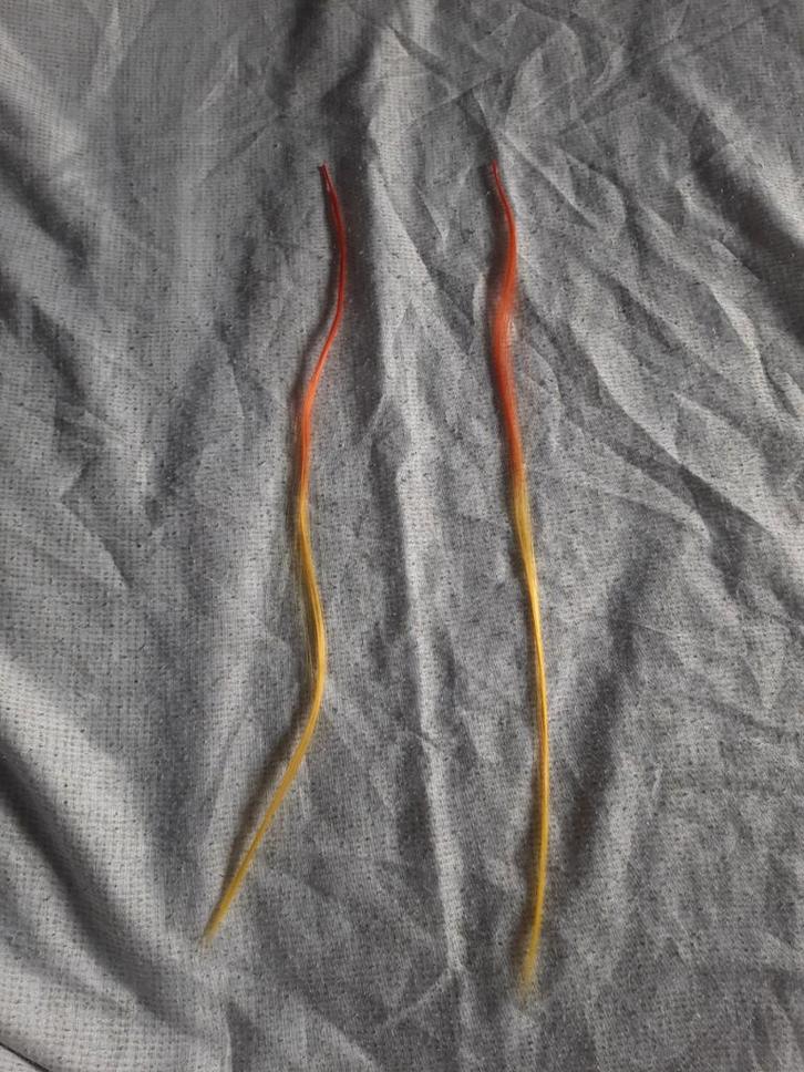 Feather extensions/hair / nep haar, Sieraden, Tassen en Uiterlijk, Uiterlijk | Haarverzorging, Nieuw, Pruik of Haarverlenging