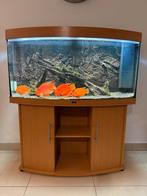 Juwel Vision 240l LED, Ophalen, Leeg aquarium