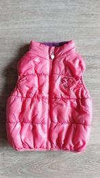 Bodywarmer, Ophalen of Verzenden, Gebruikt, Jasje