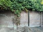 Groot klimrek / trellis 2 x 5 meter – ideaal voor klimop, Tuin en Terras, Ophalen, Bloeit niet, Halfschaduw, Overige soorten
