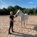Paard Trainer / Verzorger / Les / (paarden) coach, Ophalen, Nieuw, Overige soorten