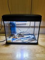 Klein aquarium inclusief accessoires, gebruiksklaar!, Dieren en Toebehoren, Ophalen, Gebruikt, Leeg aquarium