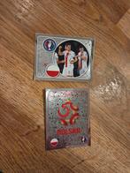 Panini EK 2016 Polen, Ophalen of Verzenden, Zo goed als nieuw, Buitenlandse clubs, Poster, Plaatje of Sticker