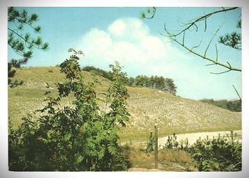 976816 Schoorl 1976 Duingezicht Gelopen met postzegel beschikbaar voor biedingen