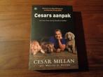 Cesars aanpak - Om weer baas over je hond te worden, Boeken, Cesar Millan; Melissa Jo Peltier, Honden, Nieuw, Ophalen of Verzenden