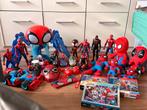 Grote set van spiderman., Ophalen of Verzenden, Zo goed als nieuw, Maat 46/48 (XL) of groter, Carnaval
