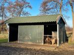 Grote schuilstal met tussenwand, Dieren en Toebehoren, Paarden en Pony's | Overige Paardenspullen, Overige soorten, Gebruikt, Ophalen of Verzenden