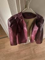 Nieuw bordeaux rood leren jasje - Maat 46/48 (XXXL), Ophalen of Verzenden, Nieuw, Maat 46/48 (XL) of groter, Rood