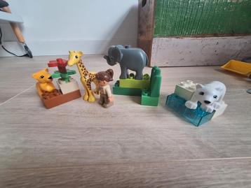 LEGO Duplo Dierentuin Super Pack 66430 beschikbaar voor biedingen
