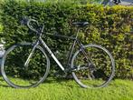 Canyon Endurace AL 6  -  Maat L, Fietsen en Brommers, Fietsen | Racefietsen, Overige merken, Gebruikt, Aluminium, Ophalen of Verzenden