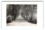 Hoorn, 3e Boomslaan, Verzenden, 1920 tot 1940, Ongelopen, Noord-Holland