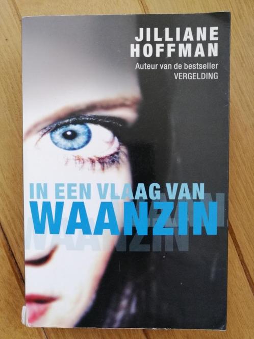 Jilliane Hoffman - In een vlaag van waanzin, Boeken, Thrillers, Zo goed als nieuw, Nederland, Ophalen of Verzenden