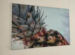 Foto van ananas pineapple op doek in frame 1.20 x 80 cm, Ophalen, Zo goed als nieuw, Schilderij, 75 cm of meer
