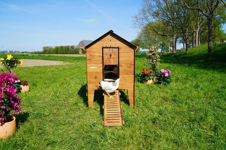 Trespa Kippenhok / Classic 2XL Op Pootjes - Cucciolotta, Dieren en Toebehoren, Pluimvee | Toebehoren, Nieuw, Kippenhok of Kippenren