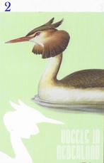 Ansichtkaart Vogels in Nederland Fuut Watervogel ( B3929 ), Verzamelen, Ophalen of Verzenden, 1980 tot heden, Ongelopen