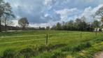 Weidegang, Dieren en Toebehoren, Stalling en Weidegang, Weidegang, 4 paarden of pony's of meer