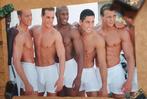 Maxi Poster: The Total Package - Mannen - Modellen - 61x91cm, Ophalen of Verzenden, Rechthoekig Staand