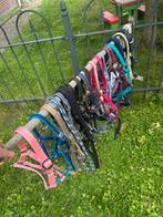 Halsters in maat mini shet tot full, Dieren en Toebehoren, Ophalen of Verzenden, Zo goed als nieuw, Overige soorten