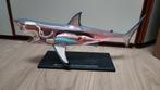Haai Anatomie Model - 4D Vision, Ophalen of Verzenden, Zo goed als nieuw, Figuur of Figuren