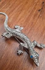 Hagedis salamander, Ophalen
