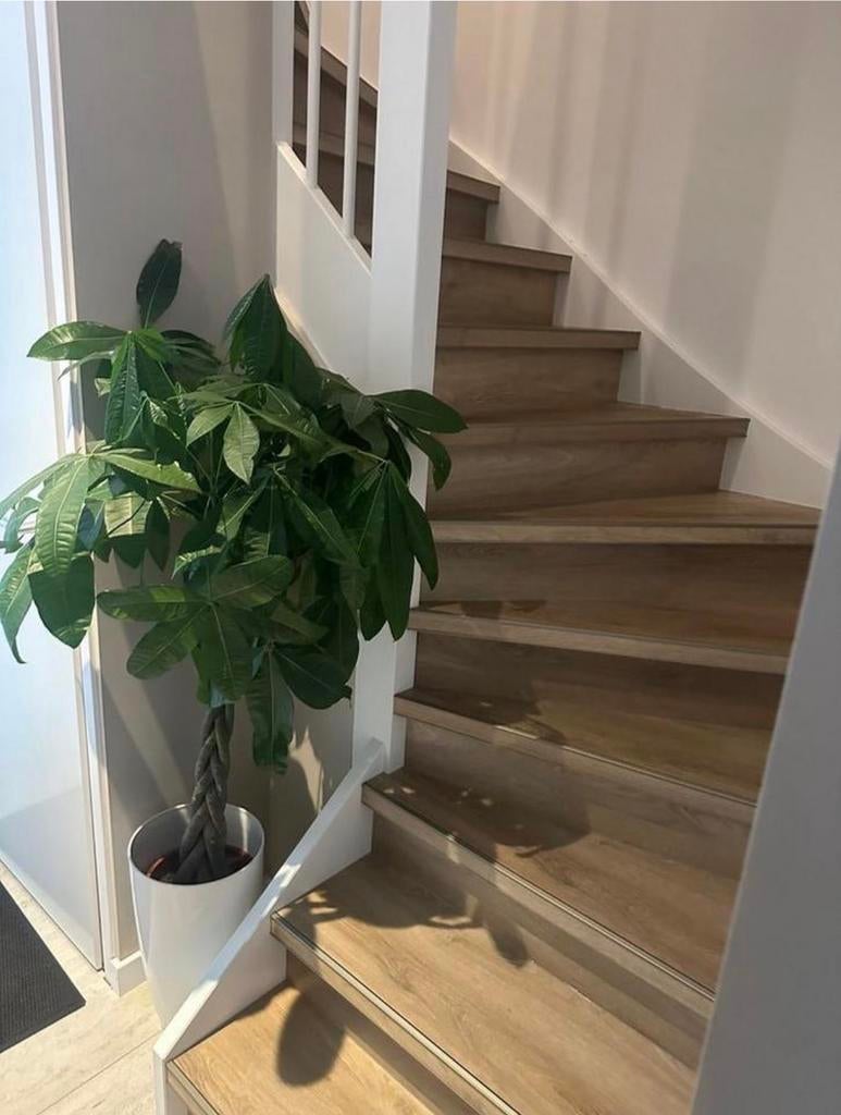 PVC Traprenovatie voor Open en Dichte Trappen, Ophalen of Verzenden, Nieuw