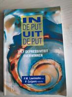 In de put, uit de put zelf depressiviteit overwinnen, Ophalen of Verzenden, Zo goed als nieuw