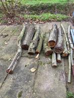 Gratis Wilgenhout stammen en takken, Tuin en Terras, Minder dan 3 m³, Ophalen, Overige houtsoorten