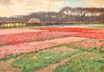 Ben Viegers schilderijen gezocht, Antiek en Kunst, Ophalen of Verzenden