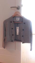 Vest grijs kort model, Ophalen of Verzenden, Nieuw, Maat 38/40 (M), Grijs