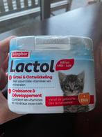 Kittenmelk nieuw, Dieren en Toebehoren, Dierenvoeding, Ophalen of Verzenden
