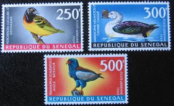 SENEGAL 16 - Dieren: vogels beschikbaar voor biedingen