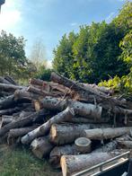 Te koop haardhout stammen, Tuin en Terras, Haardhout, 6 m³ of meer, Ophalen, Overige houtsoorten, Stammen