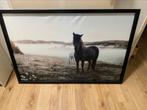 Paarden poster in frame, Ophalen, Zo goed als nieuw, Foto of Poster, 75 cm of meer