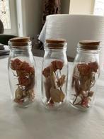 3 glazen flesjes met gedroogde roosjes erin, Overige kleuren, Nieuw, Ophalen of Verzenden, Glas