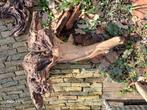 Aquariumhout - terrariumhout Mopani., Dieren en Toebehoren, Vissen | Aquaria en Toebehoren, Ophalen, Plant(en), Steen of Hout