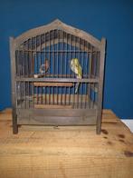 Antiek vogelkooitje met celluloid vogeltjes, Ophalen of Verzenden
