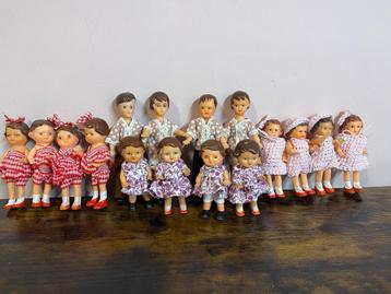Ari popjes 4,50 per popje  beschikbaar voor biedingen