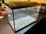Fish Tank, Dieren en Toebehoren, Ophalen, Zo goed als nieuw, Leeg aquarium