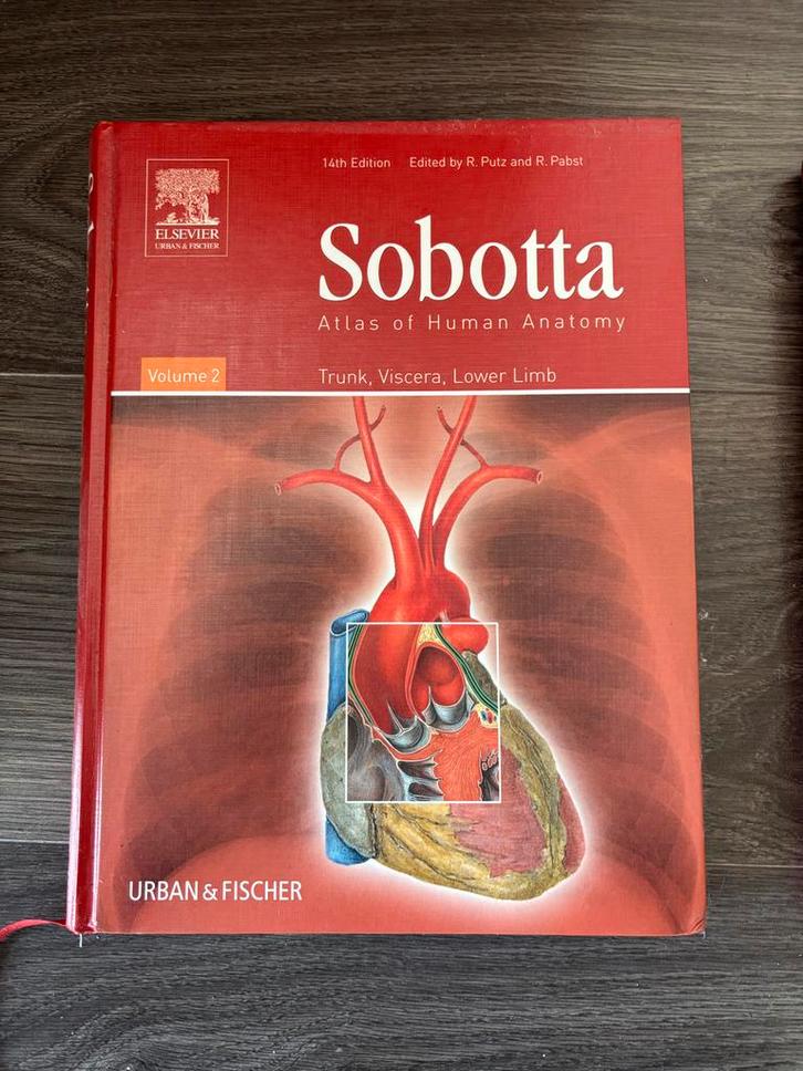 Sobotta Atlas Anatomie - Volume 2, Boeken, Studieboeken en Cursussen, Zo goed als nieuw, HBO, Beta, Verzenden