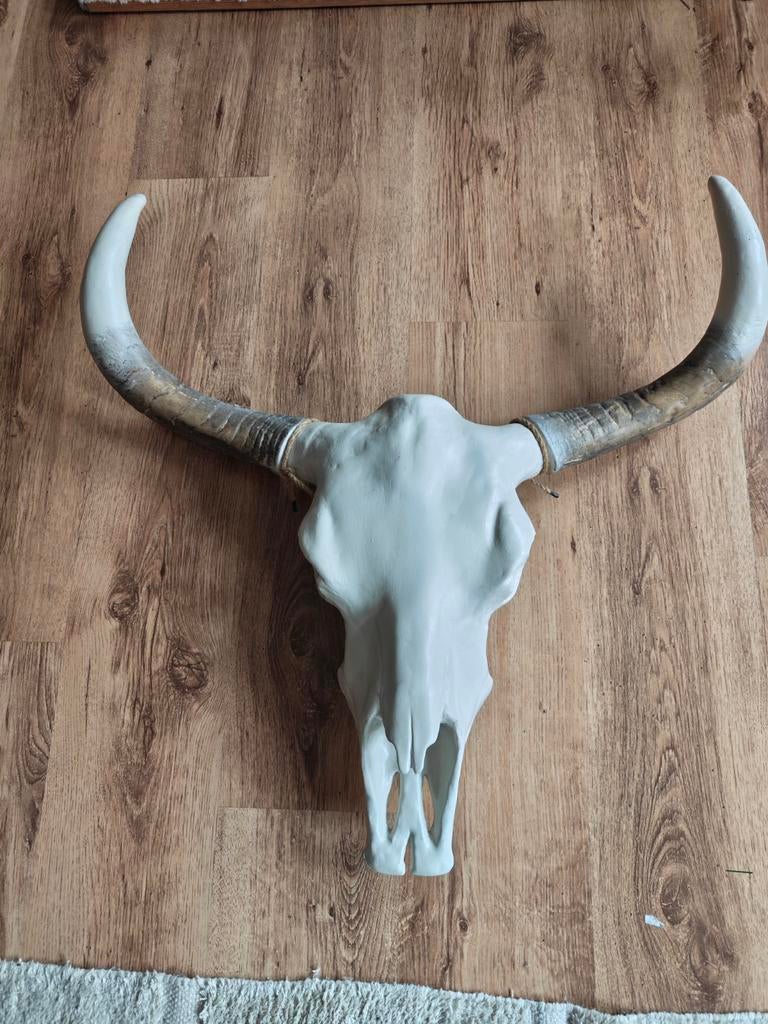 Decoratieve schedel, Huis en Inrichting, Ophalen, Gebruikt
