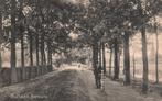 Borculo, Hoflaan (1913) 129544, Verzenden, Voor 1920, Gelopen, Gelderland
