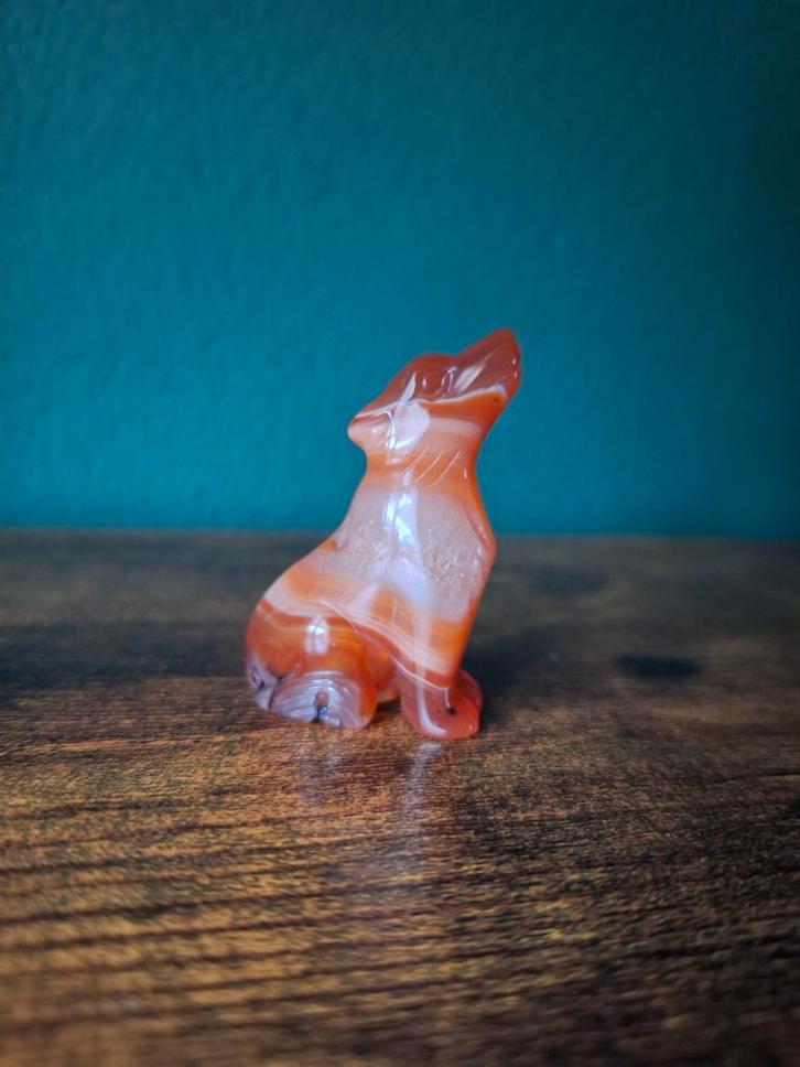 Wolf / hond carneool, Verzamelen, Mineralen en Fossielen, Verzenden