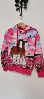 Paarden hoody trui maat 110 116 NIEUW !, Ophalen of Verzenden, Nieuw, Meisje, Trui of Vest