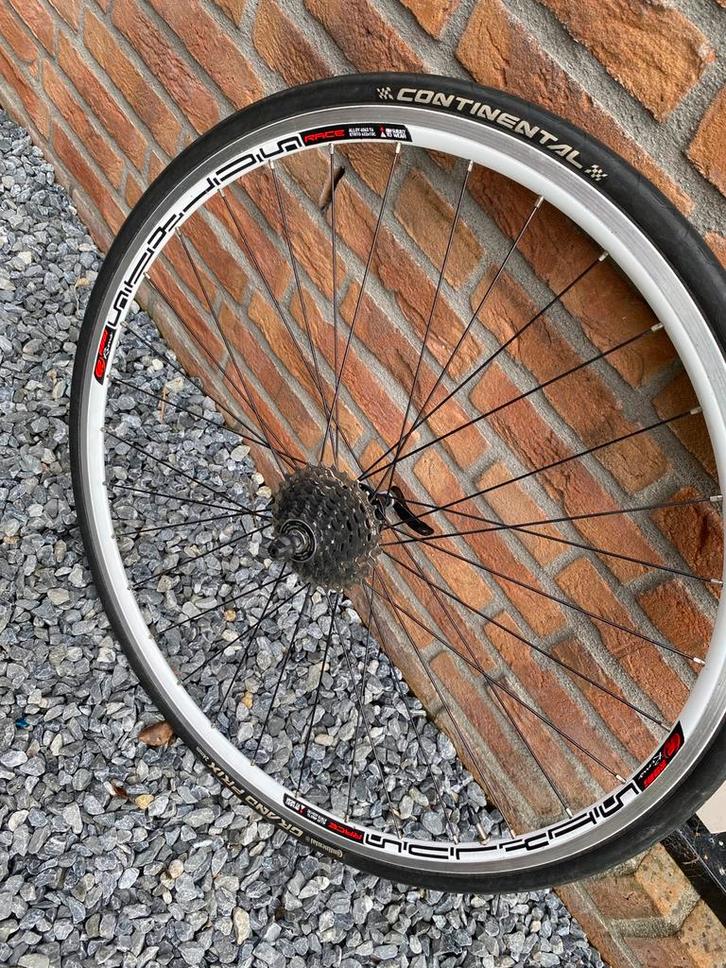 Rodi achterwiel race 28 inch 622X13C witte velg 9 speed, Fietsen en Brommers, Fietsonderdelen, Zo goed als nieuw, Racefiets, Wiel