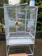 Keddoc Vogel kooi / volière inclusief stolkjes & doek, Dieren en Toebehoren, Ophalen, Gebruikt, Metaal, Volière