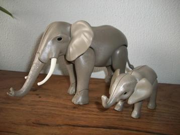 Olifanten , olifant met jong , dieren, zoo beschikbaar voor biedingen