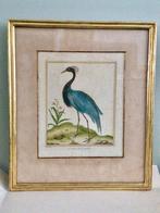 Antieke prent F.N. Martinet, Antiek en Kunst, Ophalen of Verzenden